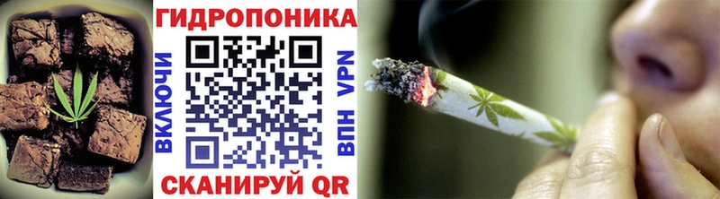 Canna-Cookies конопля  Туран 