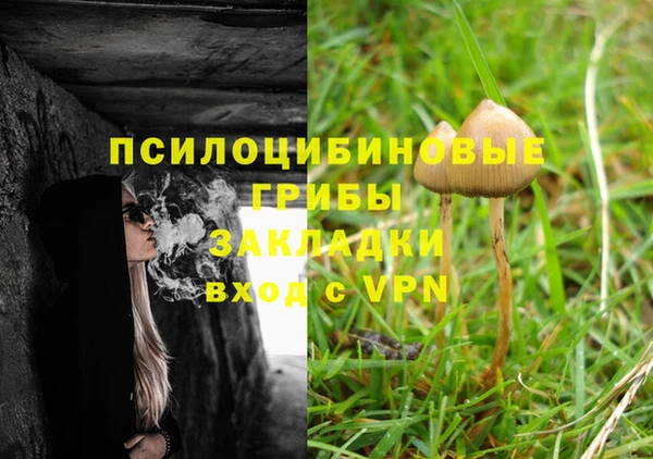 мет Мегион